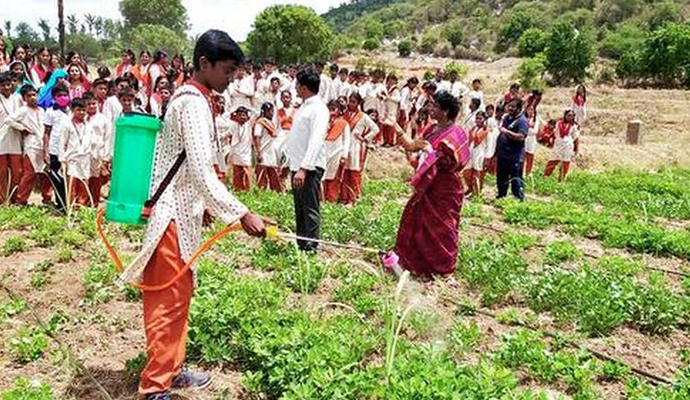 Students observe natural farming methods