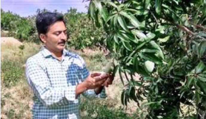 Jagadeesh Mango Farm